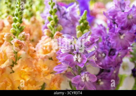 Gros plan de fleurs printanières de couleur pastel fraîchement coupées. Beau delphinium, cloches de canterbury et snapdragons. Photo détaillée Blooms. Banque D'Images