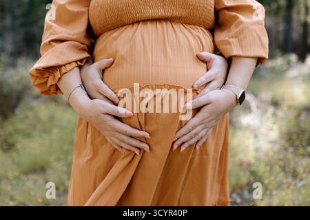 Photos de maternité familiale dans une forêt Banque D'Images