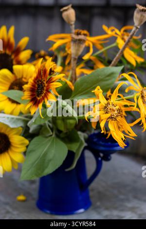 Bouquet rustique de tournesols et têtes de coquelicot dans une cruche en émail Banque D'Images