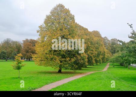 Parc Llandaff Fields, Cardiff. Prise en octobre 2025 Banque D'Images