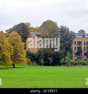 Parc Llandaff Fields, Cardiff. Prise en octobre 2025 Banque D'Images