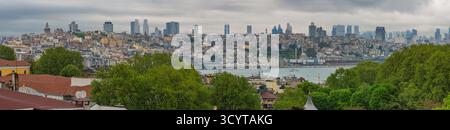 Istanbul Turkiye (Turquie), panorama de la ville sur le détroit du Bosphore Banque D'Images