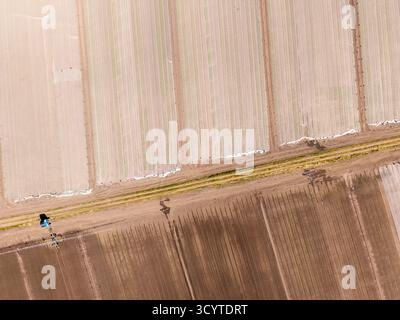 Vue aérienne rapprochée montrant la couverture de toison sur les rangées de cultures sur les terres agricoles dans le Lancashire, en Angleterre. La scène agricole détaillée montre de l'horticultura blanche Banque D'Images