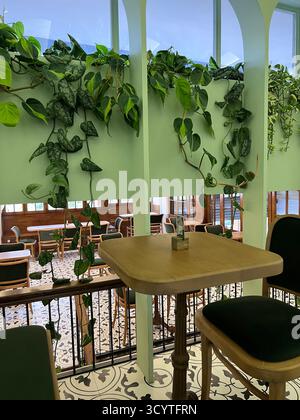 Intérieur de café moderne confortable avec des plantes vertes luxuriantes, lumière naturelle et élégant mobilier en bois à Téhéran. Banque D'Images