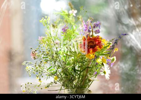 Un boquet de fleurs sauvages de steppe de l'Ukraine Banque D'Images