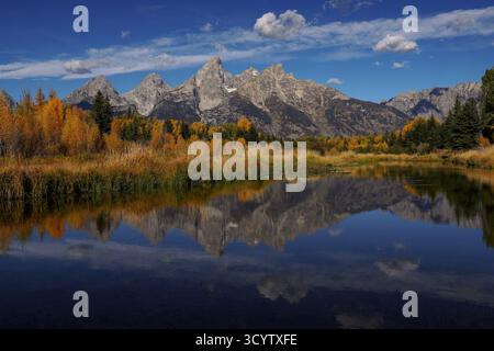 Couleurs d'automne avec les montagnes Teton dans le parc national de Grand Teton Banque D'Images
