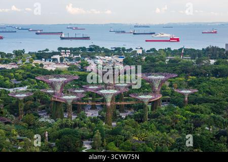 Singapour - 19 octobre 2018 : les superarbres massifs sont un point fort de l'attraction touristique populaire Garden by the Bay. Banque D'Images