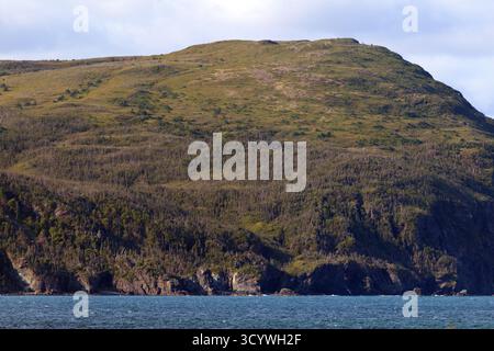 Colline côtière couverte de forêt s'élevant au-dessus de l'océan à Rocky Harbor, Terre-Neuve Banque D'Images