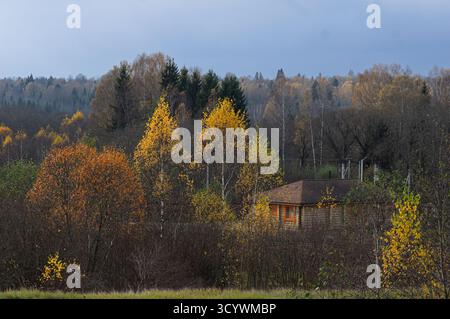 Paysage forestier d'automne pittoresque avec une cabane en bois parmi les bouleaux et les érables avec feuillage jaune et orange. Vue sur la campagne tranquille, nuageux Banque D'Images