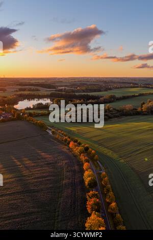 Vue aérienne d'une route de campagne sinueuse bordée d'arbres d'automne projetant de longues ombres sur des champs verdoyants alors que le soleil se couche sur un paysage rural paisible Banque D'Images