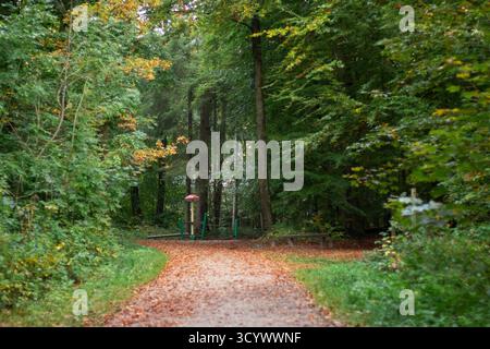 Chemin forestier à une aire de jeux, arbres verts dans la saison d'automne Banque D'Images