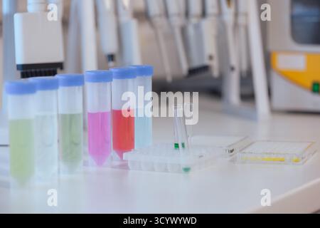 Des tubes à essai avec des liquides vibrants sont disposés sur une table de laboratoire, présentant des expériences scientifiques et des analyses en cours. Banque D'Images