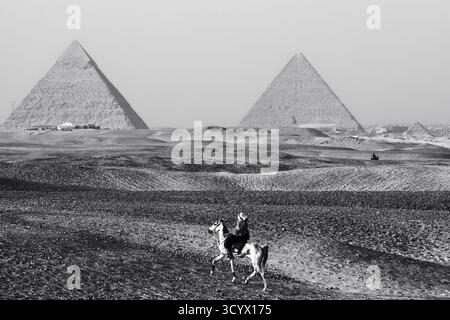 Images éditoriales des pyramides de Gizeh, du Sphinx et du plateau de Gizeh près du Caire, capturant les merveilles antiques, la culture et la beauté intemporelle de l’Égypte. Banque D'Images