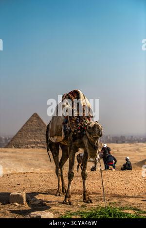 Images éditoriales des pyramides de Gizeh, du Sphinx et du plateau de Gizeh près du Caire, capturant les merveilles antiques, la culture et la beauté intemporelle de l’Égypte. Banque D'Images