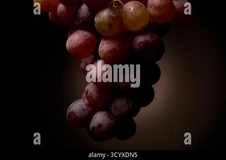 Gros plan de raisins rouges éclairés par une lumière diffuse douce sur un fond sombre. Photographie culinaire de studio artistique montrant la texture et les détails de couleur. Banque D'Images