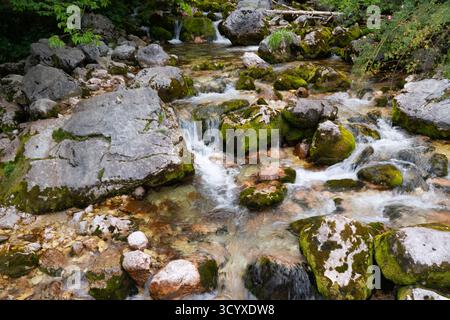 Source de la rivière Sǒca, Slovénie Banque D'Images