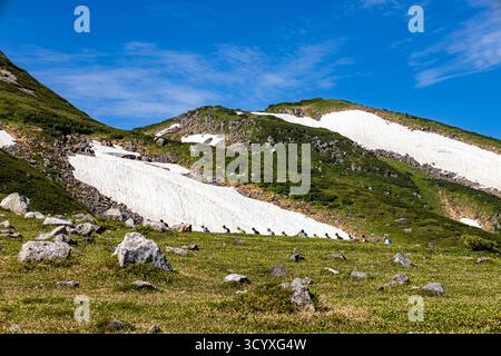 Montagnes Tateyama (Mont Tate), randonneurs près de Murodo Sanso (chalet), montagnes Hida (Alpes du Nord), ville de Tateyama, Toyama, Japon, Asie Banque D'Images