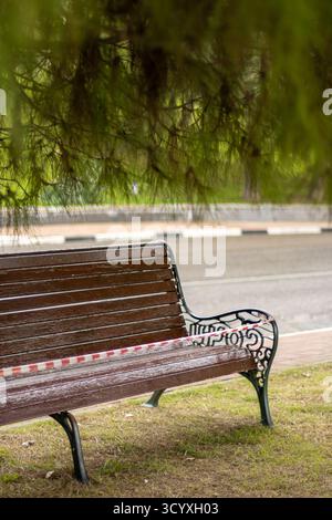 Vider le banc de stationnement sous les arbres. Un banc de parc en bois vide orné se trouve sur l'herbe à côté d'une route pavée, sous des branches d'arbres verdoyantes, invitant au calme refl Banque D'Images