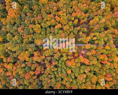 Der Bad Homburger Stadtwald im Herbst Das Laub der Bäume im Bad Homburger Stadtwald Hat sich Mitte Oktober herbstlich bunt verfärbt. Luftbild mit einer Drohne Bad Homburg Stadtwald Hessen Deutschland *** la forêt de la ville de Bad Homburg en automne les feuilles des arbres de la forêt de la ville de Bad Homburg ont changé de couleur à la mi-octobre vue aérienne avec un drone forêt de la ville de Bad Homburg Hesse Allemagne 2025-10-20 Bad-homburg stadtwald 03 Banque D'Images
