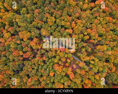 Der Bad Homburger Stadtwald im Herbst Das Laub der Bäume im Bad Homburger Stadtwald Hat sich Mitte Oktober herbstlich bunt verfärbt. Luftbild mit einer Drohne Bad Homburg Stadtwald Hessen Deutschland *** la forêt de la ville de Bad Homburg en automne les feuilles des arbres de la forêt de la ville de Bad Homburg ont changé de couleur à la mi-octobre vue aérienne avec un drone forêt de la ville de Bad Homburg Hesse Allemagne 2025-10-20 Bad-homburg stadtwald 04 Banque D'Images