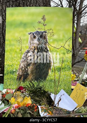 Mémorial hommage à Flaco la chouette à Central Park, New York City, États-Unis, avec fleurs, photos, et les messages laissés par les personnes en deuil. Banque D'Images
