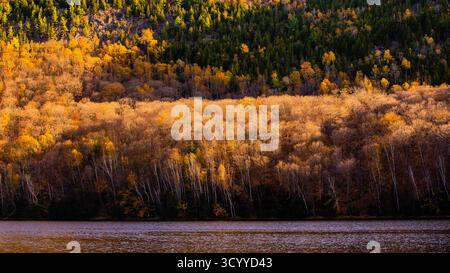 Lac-du-sable, Canada - Oct.19 2025 : la vue colorée du feuillage automnal du Lac-du-sable au Québec Canda Banque D'Images