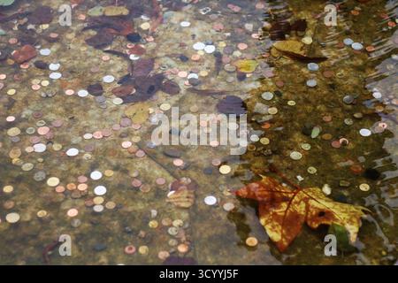 Pièces de monnaie et feuilles d'automne sous l'eau dans une fontaine à souhait Banque D'Images