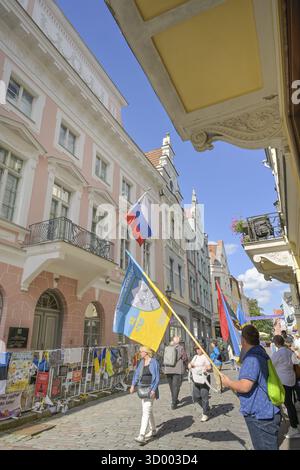 Protestation ukrainienne, Ambassade de Russie, Pikk TN 19, vieille ville, Tallinn, Estonie Banque D'Images