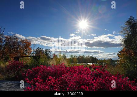 Toronto. 20 octobre 2025. Cette photo prise le 20 octobre 2025 montre le paysage du lac Wilcox à Richmond Hill, Ontario, Canada. L'automne bat son plein dans la région du Grand Toronto en Ontario, au Canada. Crédit : Yang Shu/Xinhua/Alamy Live News Banque D'Images