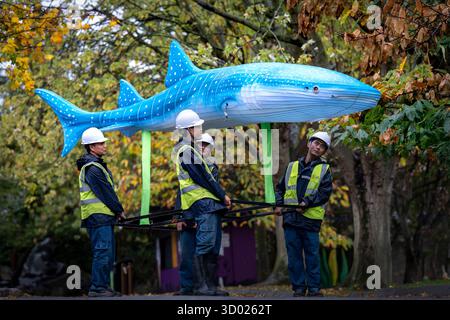 Des lanternes géantes sont installées au zoo d'Édimbourg pour le retour du sentier de la Royal Zoological Society of Scotland (RZSS), avec plus de 600 lanternes géantes sur le thème aquatique créées par une équipe de 20 spécialistes des lanternes de Zigong Lanterns en Chine, qui se déroulera à partir du 14 novembre. Les visiteurs du sentier pourront se promener à travers une énorme baleine et explorer un pays des merveilles sous-marin lumineux. Date de la photo : mardi 21 octobre 2025. Banque D'Images