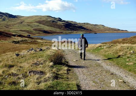 Homme célibataire (randonneur) marchant sur la piste du Boathouse près de Devoke Water dans le parc national du Lake District, Cumbria, Angleterre, Royaume-Uni. Banque D'Images