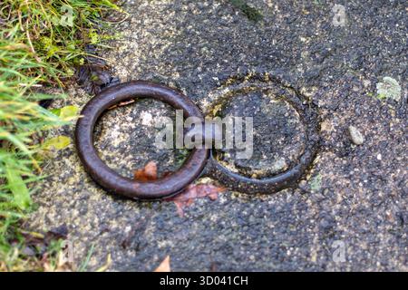 Anneau d'amarrage en métal rouillé encastré dans de la pierre altérée, montrant l'âge et la connexion à l'eau. Herbe verte tapissant le bord Banque D'Images