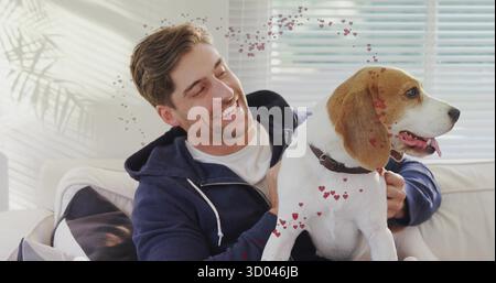 Berçant chien beagle, homme en sweat à capuche marine assis sur un canapé dans le salon, avec des coeurs flottants Banque D'Images