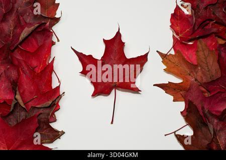 Drapeau canadien fabriqué à partir de feuilles d'érable rouge Banque D'Images