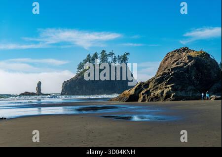 Sea Stacks & Pacific Ocean ; la Push second Beach ; Olympic National Park ; Washington ; États-Unis Banque D'Images