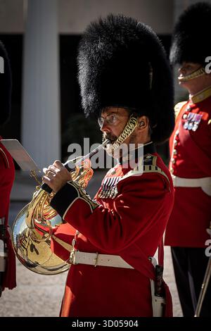 Musicien de groupe de l'armée britannique jouant du cor français lors de la cérémonie de la relève de la garde, Londres, Angleterre, Royaume-Uni. Banque D'Images