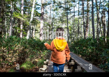 un garçon en randonnée dans la forêt, traversant un petit pont en bois, lors d'une aventure dans un parc national, pendant la saison d'automne. Banque D'Images