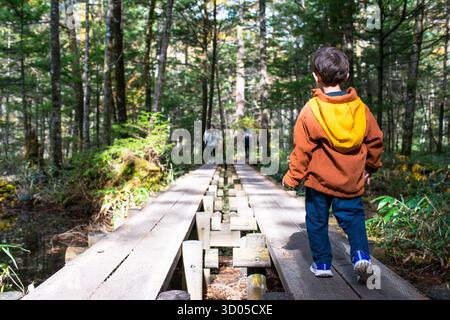 un garçon en randonnée dans la forêt, traversant un petit pont en bois, lors d'une aventure dans un parc national, pendant la journée ensoleillée. Banque D'Images