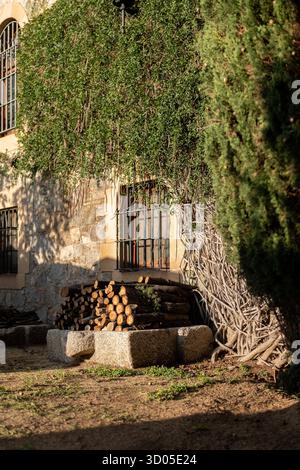 Une pile de bois de chauffage est soigneusement disposée à côté d'un mur de pierre. Un feuillage vert entoure la région, créant une atmosphère naturelle et rustique. Banque D'Images