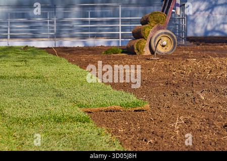 Gazon vert étant posé sur le sol préparé, gazon roulé sur dolly en arrière-plan dans le cadre du parc ensoleillé du printemps Banque D'Images