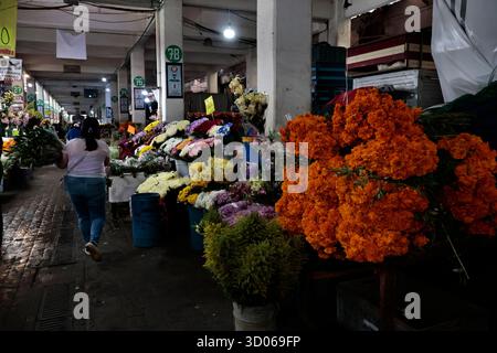 Mexique, CDMX, Mexique. 21 octobre 2025. La plupart d’entre eux proviennent de Xochimilco et de l’état de Puebla, où ils sont récoltés sans pots. Des centaines ou des milliers de familles commenceront à arriver au marché jamaïcain, le principal marché aux fleurs, mais le plus important de cette saison. Ils viennent dans une variété de tailles et de prix ; les vendeurs offrent leurs fleurs aux clients afin qu'ils puissent les placer sur des autels dans leurs maisons où ils se souviennent de leurs proches, et avec la couleur et l'arôme des fleurs de Cempasuchil, ils peuvent leur rendre visite année après année. (Crédit image : © Josue Perez/ZUMA Press Wire) EDITORI Banque D'Images
