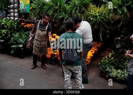 Mexique, CDMX, Mexique. 21 octobre 2025. La plupart d’entre eux proviennent de Xochimilco et de l’état de Puebla, où ils sont récoltés sans pots. Des centaines ou des milliers de familles commenceront à arriver au marché jamaïcain, le principal marché aux fleurs, mais le plus important de cette saison. Ils viennent dans une variété de tailles et de prix ; les vendeurs offrent leurs fleurs aux clients afin qu'ils puissent les placer sur des autels dans leurs maisons où ils se souviennent de leurs proches, et avec la couleur et l'arôme des fleurs de Cempasuchil, ils peuvent leur rendre visite année après année. (Crédit image : © Josue Perez/ZUMA Press Wire) EDITORI Banque D'Images