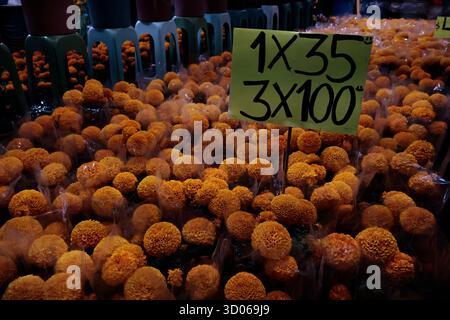 Mexique, CDMX, Mexique. 21 octobre 2025. La plupart d’entre eux proviennent de Xochimilco et de l’état de Puebla, où ils sont récoltés sans pots. Des centaines ou des milliers de familles commenceront à arriver au marché jamaïcain, le principal marché aux fleurs, mais le plus important de cette saison. Ils viennent dans une variété de tailles et de prix ; les vendeurs offrent leurs fleurs aux clients afin qu'ils puissent les placer sur des autels dans leurs maisons où ils se souviennent de leurs proches, et avec la couleur et l'arôme des fleurs de Cempasuchil, ils peuvent leur rendre visite année après année. (Crédit image : © Josue Perez/ZUMA Press Wire) EDITORI Banque D'Images