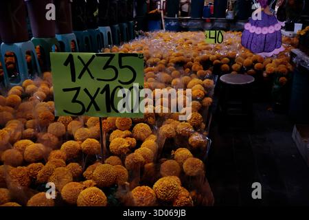Mexique, CDMX, Mexique. 21 octobre 2025. La plupart d’entre eux proviennent de Xochimilco et de l’état de Puebla, où ils sont récoltés sans pots. Des centaines ou des milliers de familles commenceront à arriver au marché jamaïcain, le principal marché aux fleurs, mais le plus important de cette saison. Ils viennent dans une variété de tailles et de prix ; les vendeurs offrent leurs fleurs aux clients afin qu'ils puissent les placer sur des autels dans leurs maisons où ils se souviennent de leurs proches, et avec la couleur et l'arôme des fleurs de Cempasuchil, ils peuvent leur rendre visite année après année. (Crédit image : © Josue Perez/ZUMA Press Wire) EDITORI Banque D'Images