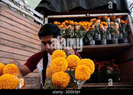 Mexique, CDMX, Mexique. 21 octobre 2025. La plupart d’entre eux proviennent de Xochimilco et de l’état de Puebla, où ils sont récoltés sans pots. Des centaines ou des milliers de familles commenceront à arriver au marché jamaïcain, le principal marché aux fleurs, mais le plus important de cette saison. Ils viennent dans une variété de tailles et de prix ; les vendeurs offrent leurs fleurs aux clients afin qu'ils puissent les placer sur des autels dans leurs maisons où ils se souviennent de leurs proches, et avec la couleur et l'arôme des fleurs de Cempasuchil, ils peuvent leur rendre visite année après année. (Crédit image : © Josue Perez/ZUMA Press Wire) EDITORI Banque D'Images