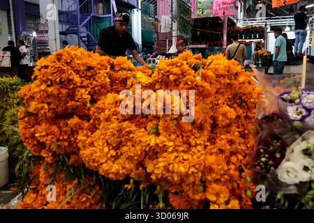 Mexique, CDMX, Mexique. 21 octobre 2025. La plupart d’entre eux proviennent de Xochimilco et de l’état de Puebla, où ils sont récoltés sans pots. Des centaines ou des milliers de familles commenceront à arriver au marché jamaïcain, le principal marché aux fleurs, mais le plus important de cette saison. Ils viennent dans une variété de tailles et de prix ; les vendeurs offrent leurs fleurs aux clients afin qu'ils puissent les placer sur des autels dans leurs maisons où ils se souviennent de leurs proches, et avec la couleur et l'arôme des fleurs de Cempasuchil, ils peuvent leur rendre visite année après année. (Crédit image : © Josue Perez/ZUMA Press Wire) EDITORI Banque D'Images