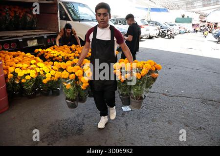 Mexique, CDMX, Mexique. 21 octobre 2025. La plupart d’entre eux proviennent de Xochimilco et de l’état de Puebla, où ils sont récoltés sans pots. Des centaines ou des milliers de familles commenceront à arriver au marché jamaïcain, le principal marché aux fleurs, mais le plus important de cette saison. Ils viennent dans une variété de tailles et de prix ; les vendeurs offrent leurs fleurs aux clients afin qu'ils puissent les placer sur des autels dans leurs maisons où ils se souviennent de leurs proches, et avec la couleur et l'arôme des fleurs de Cempasuchil, ils peuvent leur rendre visite année après année. (Crédit image : © Josue Perez/ZUMA Press Wire) EDITORI Banque D'Images