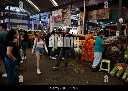 Mexique, CDMX, Mexique. 21 octobre 2025. La plupart d’entre eux proviennent de Xochimilco et de l’état de Puebla, où ils sont récoltés sans pots. Des centaines ou des milliers de familles commenceront à arriver au marché jamaïcain, le principal marché aux fleurs, mais le plus important de cette saison. Ils viennent dans une variété de tailles et de prix ; les vendeurs offrent leurs fleurs aux clients afin qu'ils puissent les placer sur des autels dans leurs maisons où ils se souviennent de leurs proches, et avec la couleur et l'arôme des fleurs de Cempasuchil, ils peuvent leur rendre visite année après année. (Crédit image : © Josue Perez/ZUMA Press Wire) EDITORI Banque D'Images