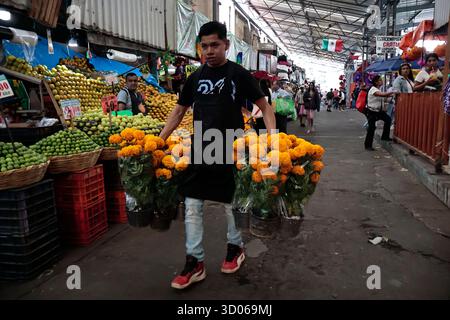 Mexique, CDMX, Mexique. 21 octobre 2025. La plupart d’entre eux proviennent de Xochimilco et de l’état de Puebla, où ils sont récoltés sans pots. Des centaines ou des milliers de familles commenceront à arriver au marché jamaïcain, le principal marché aux fleurs, mais le plus important de cette saison. Ils viennent dans une variété de tailles et de prix ; les vendeurs offrent leurs fleurs aux clients afin qu'ils puissent les placer sur des autels dans leurs maisons où ils se souviennent de leurs proches, et avec la couleur et l'arôme des fleurs de Cempasuchil, ils peuvent leur rendre visite année après année. (Crédit image : © Josue Perez/ZUMA Press Wire) EDITORI Banque D'Images