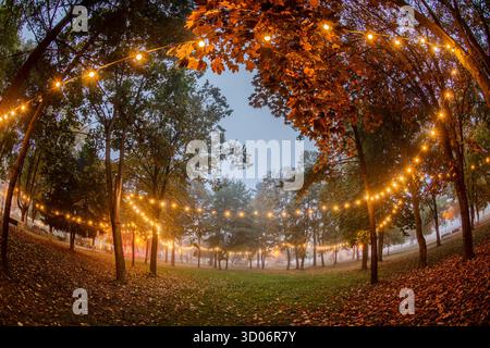 Clairière boisée décorée de guirlandes lumineuses chaudes au crépuscule. Les feuilles tombées et les grands arbres créent un cadre d'automne confortable et festif. Banque D'Images